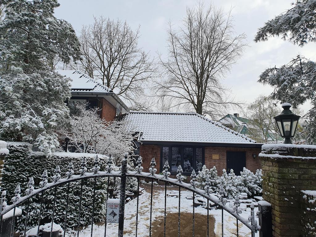 gallery-31