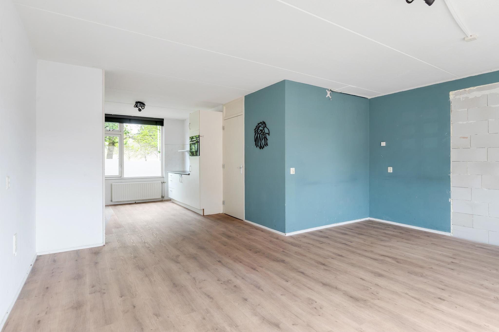 gallery-4