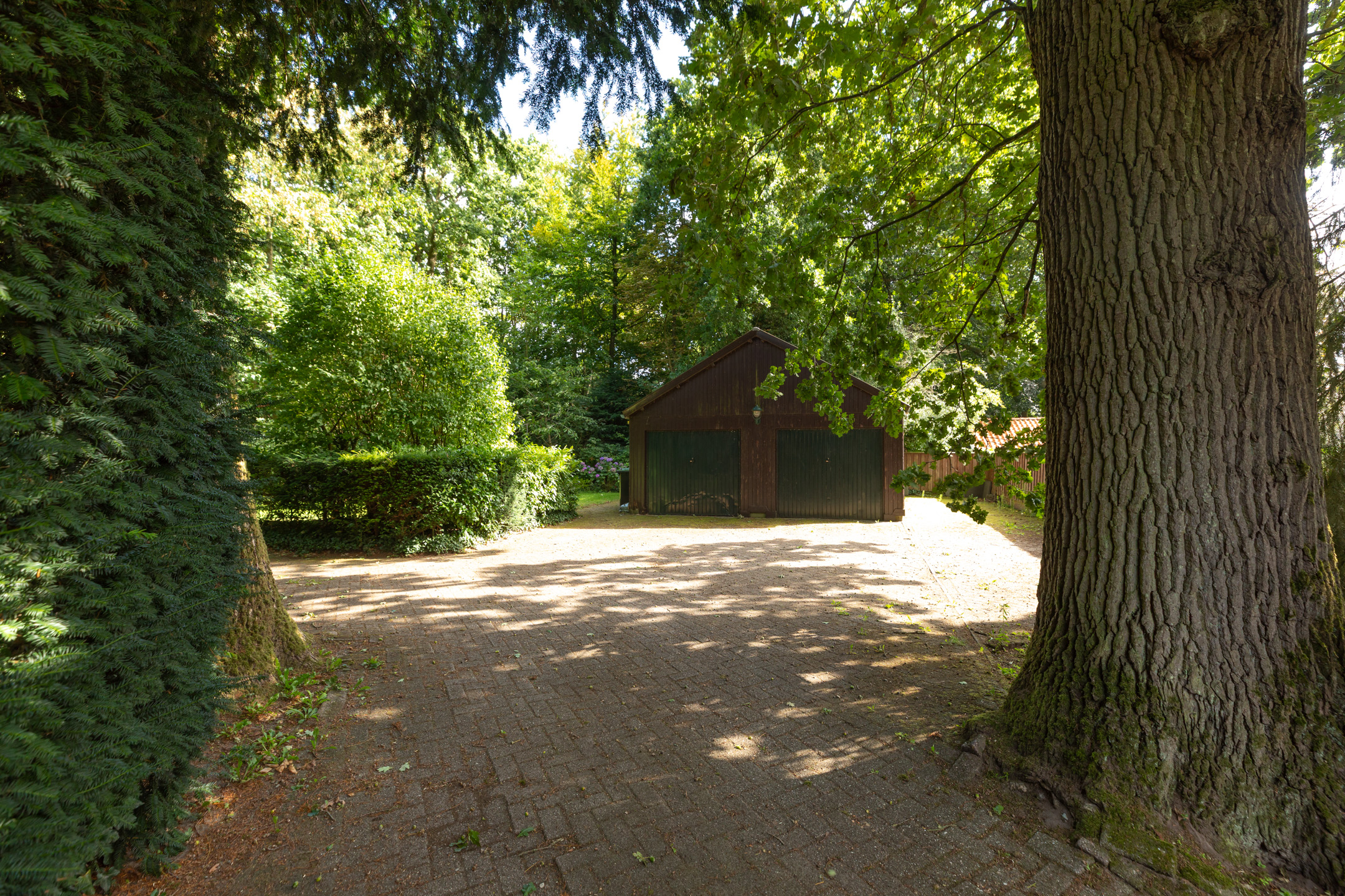 gallery-2