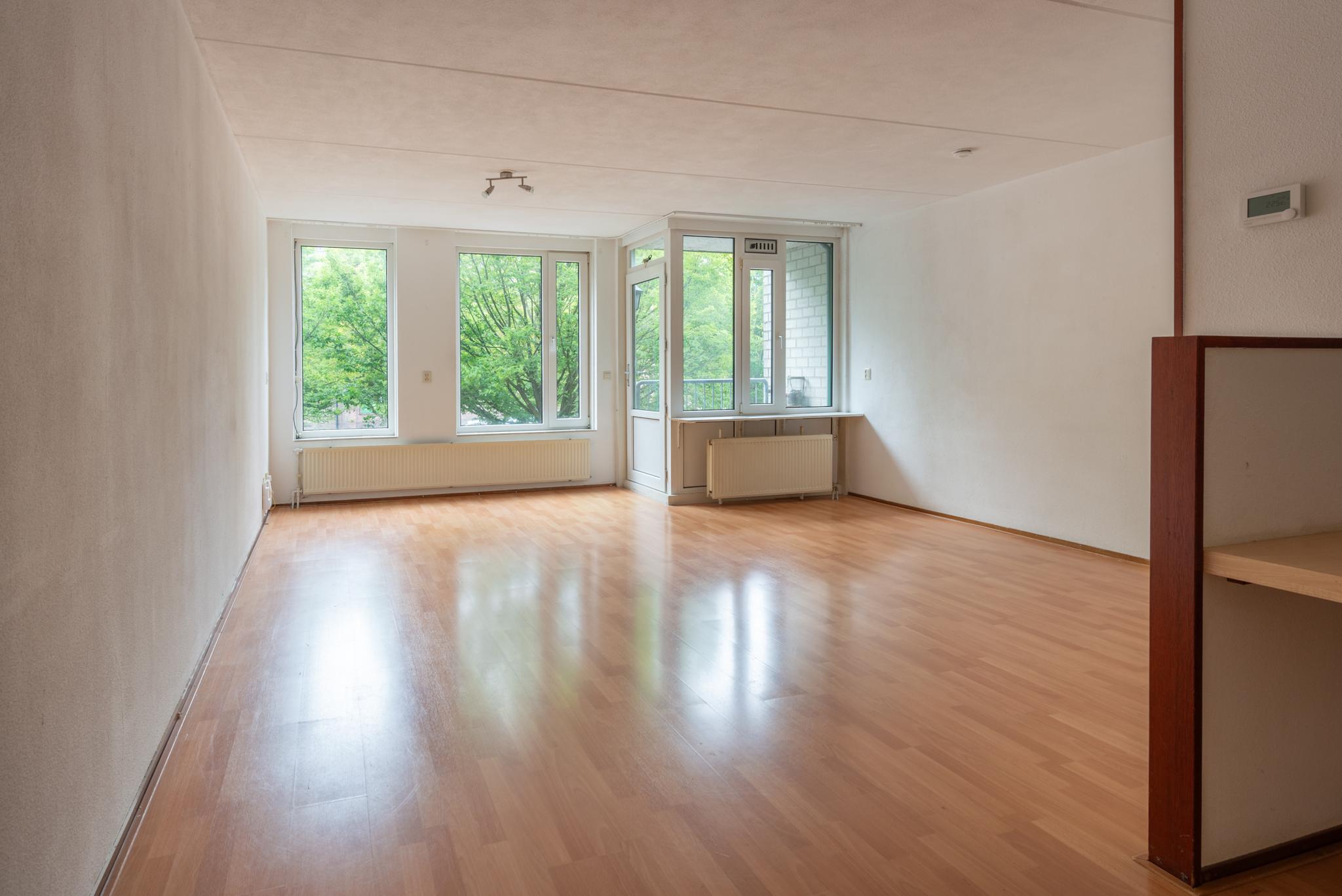 gallery-3