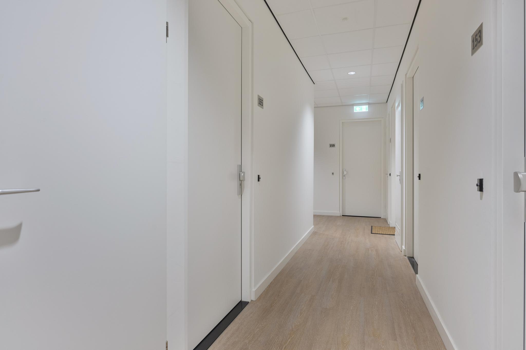gallery-3