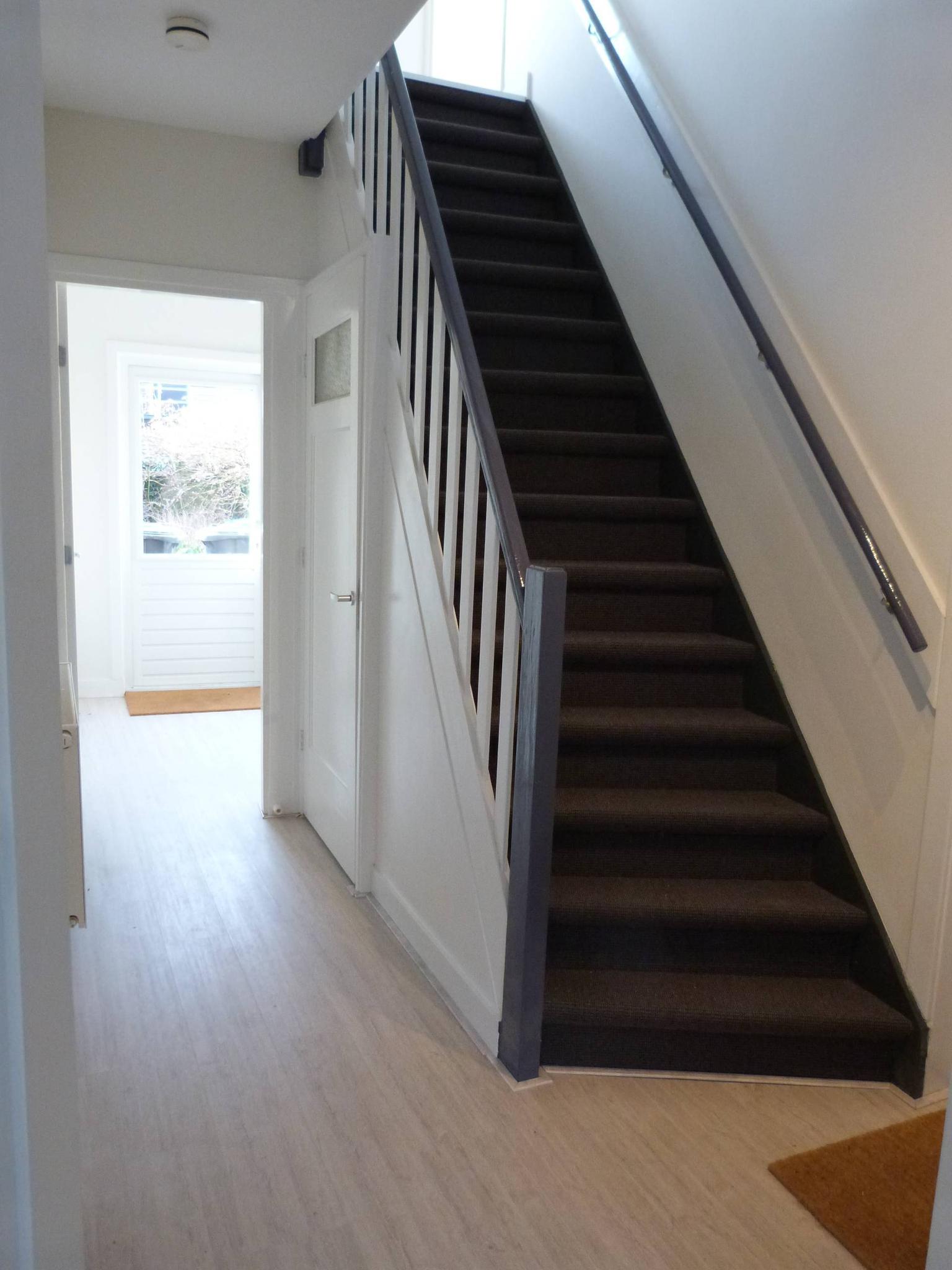 gallery-4