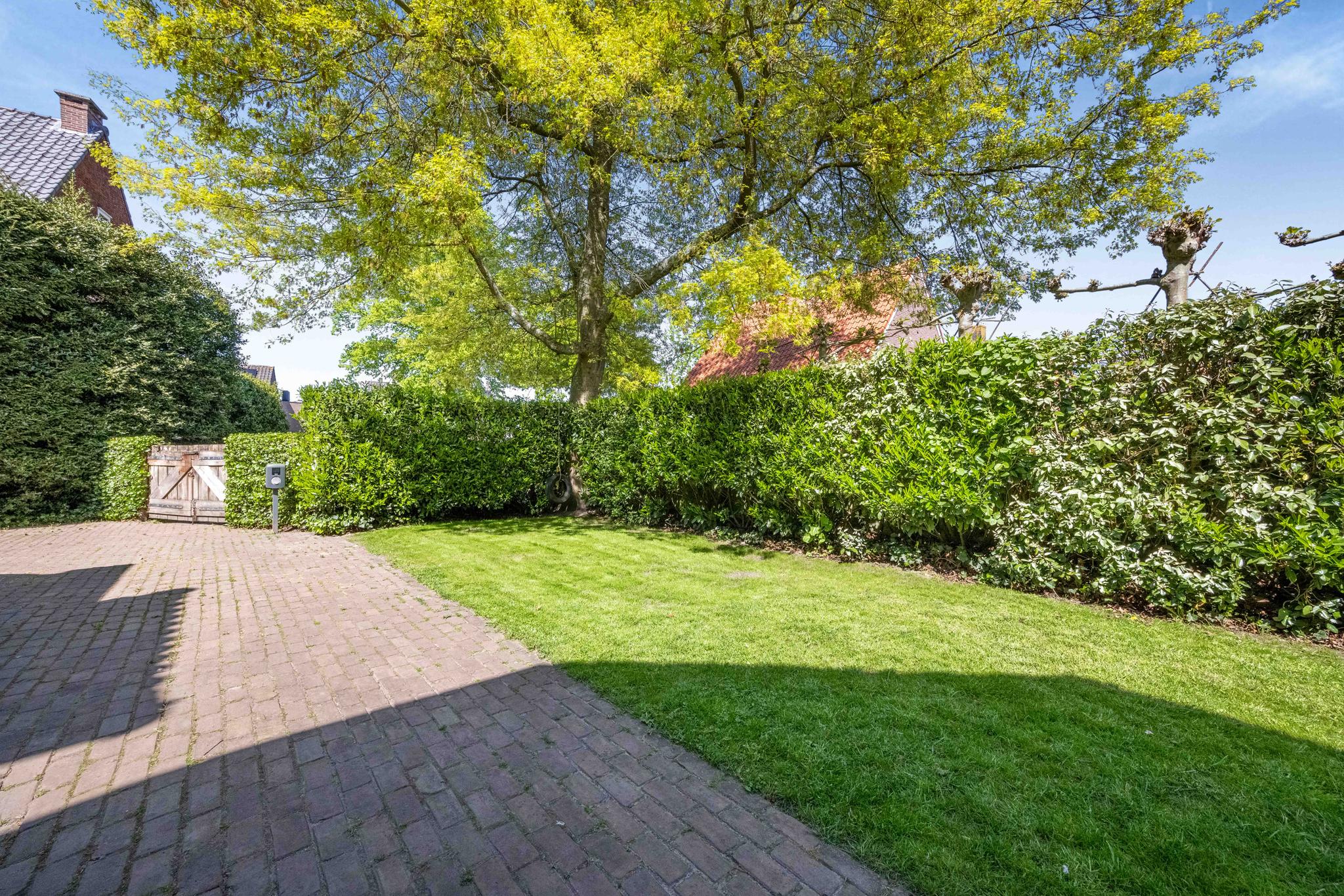 gallery-56