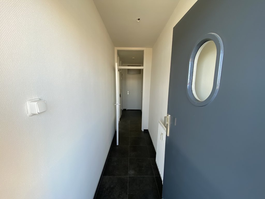 gallery-4