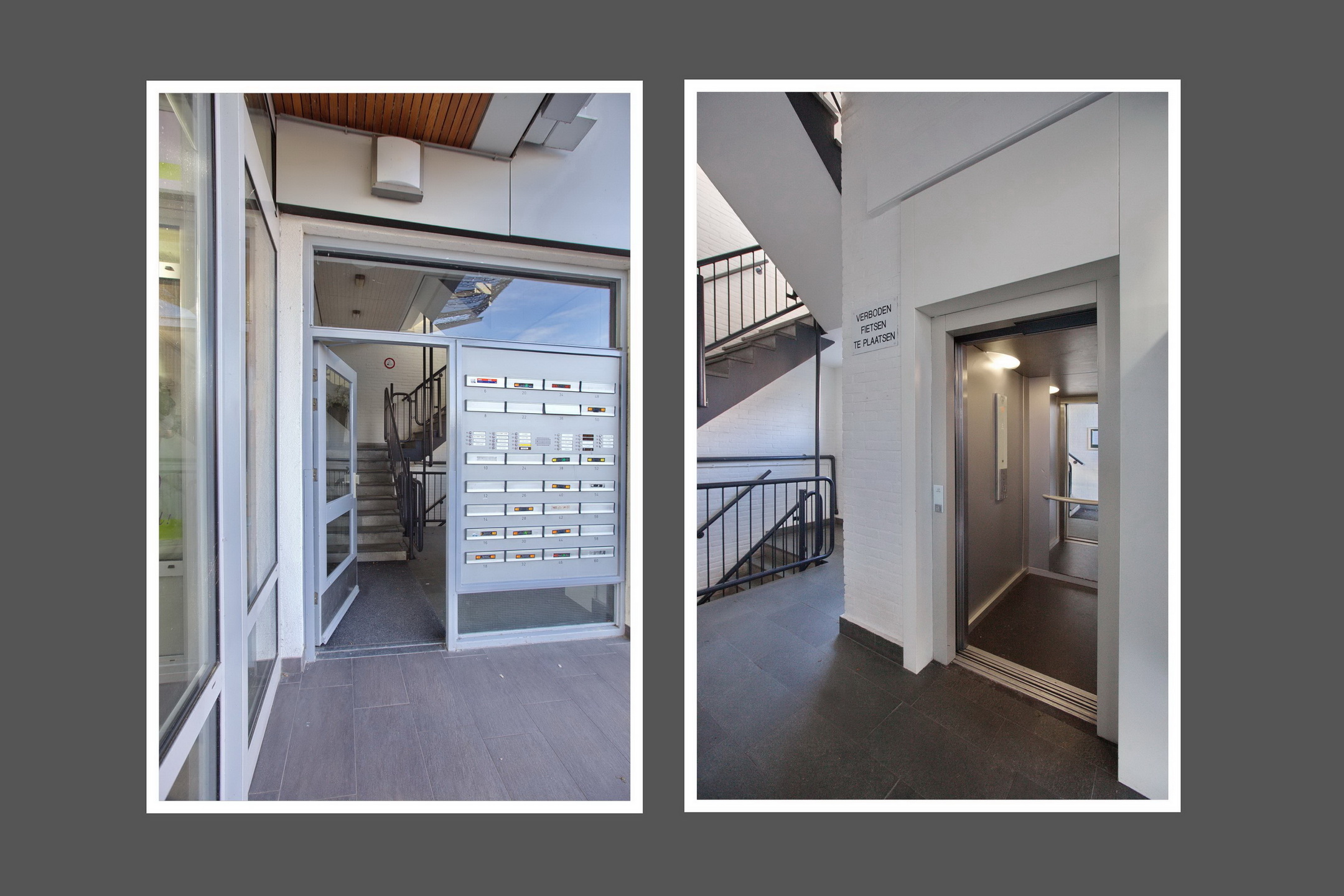 gallery-4