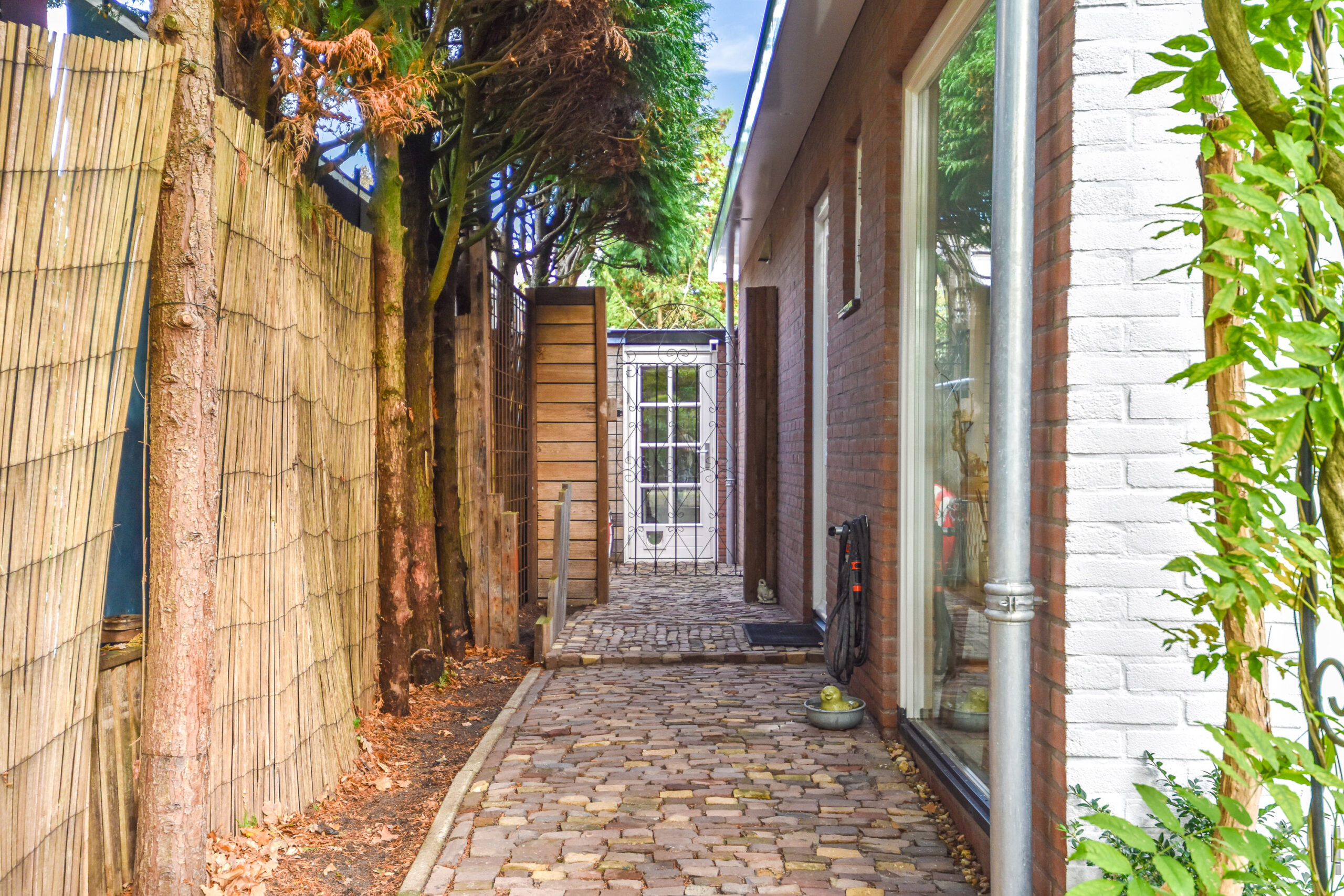 gallery-6