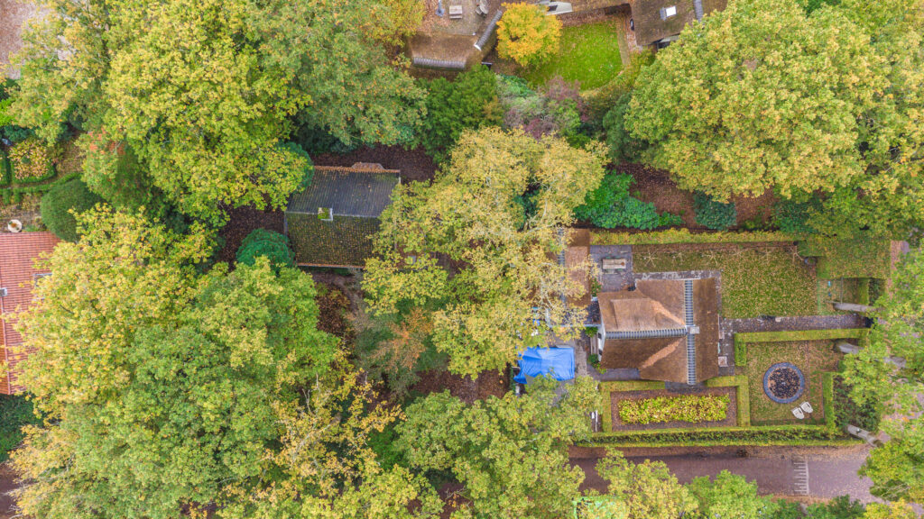 Professor van Reeslaan 3